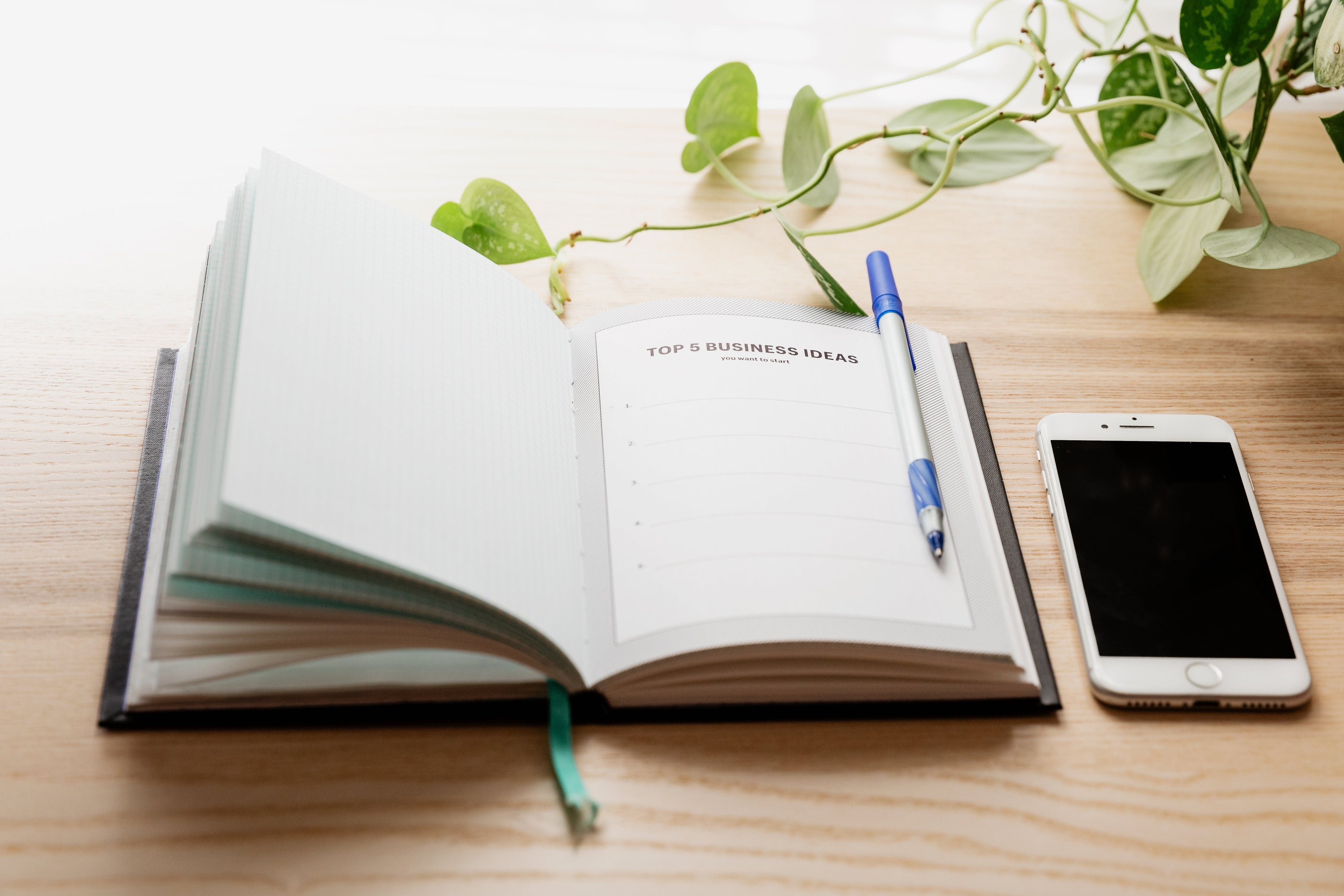 Project Management Consulting